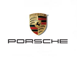 Tipske gumijaste preproge za Porsche